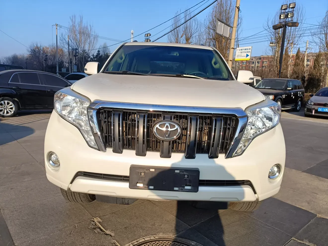 Toyota prado