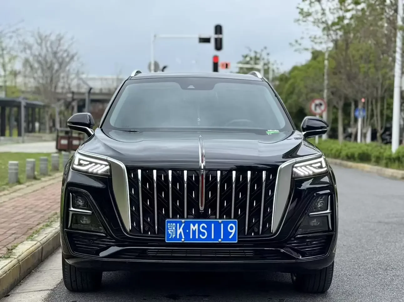 Hongqi HS5