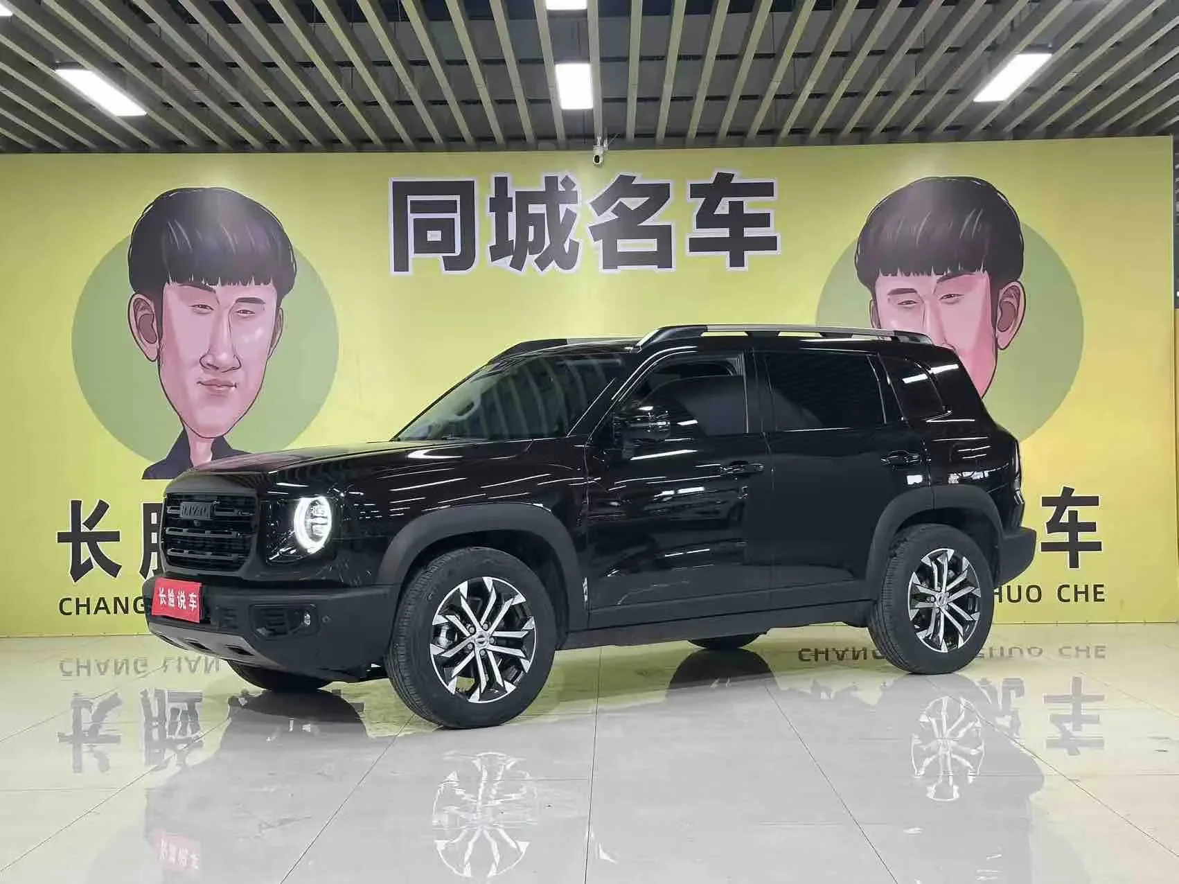 Haval Dargo