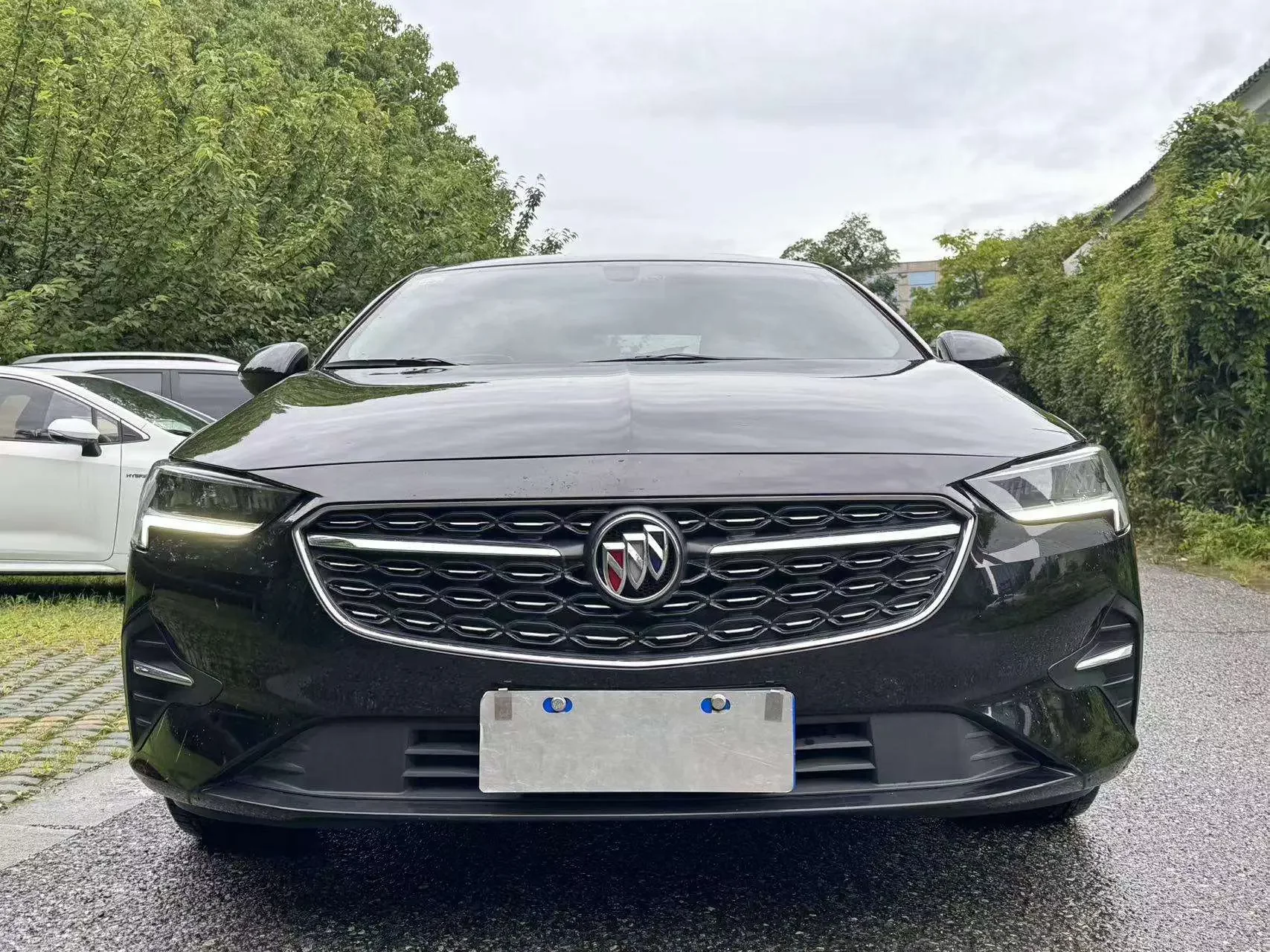 Buick Majesty