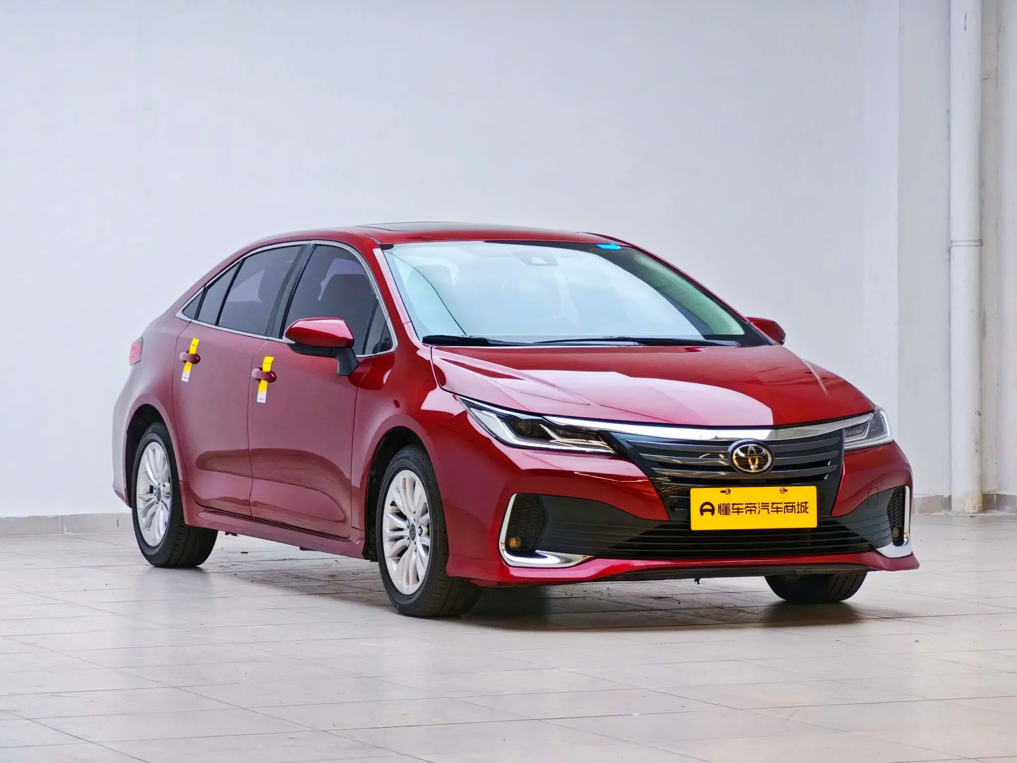 Toyota Asiatic lion