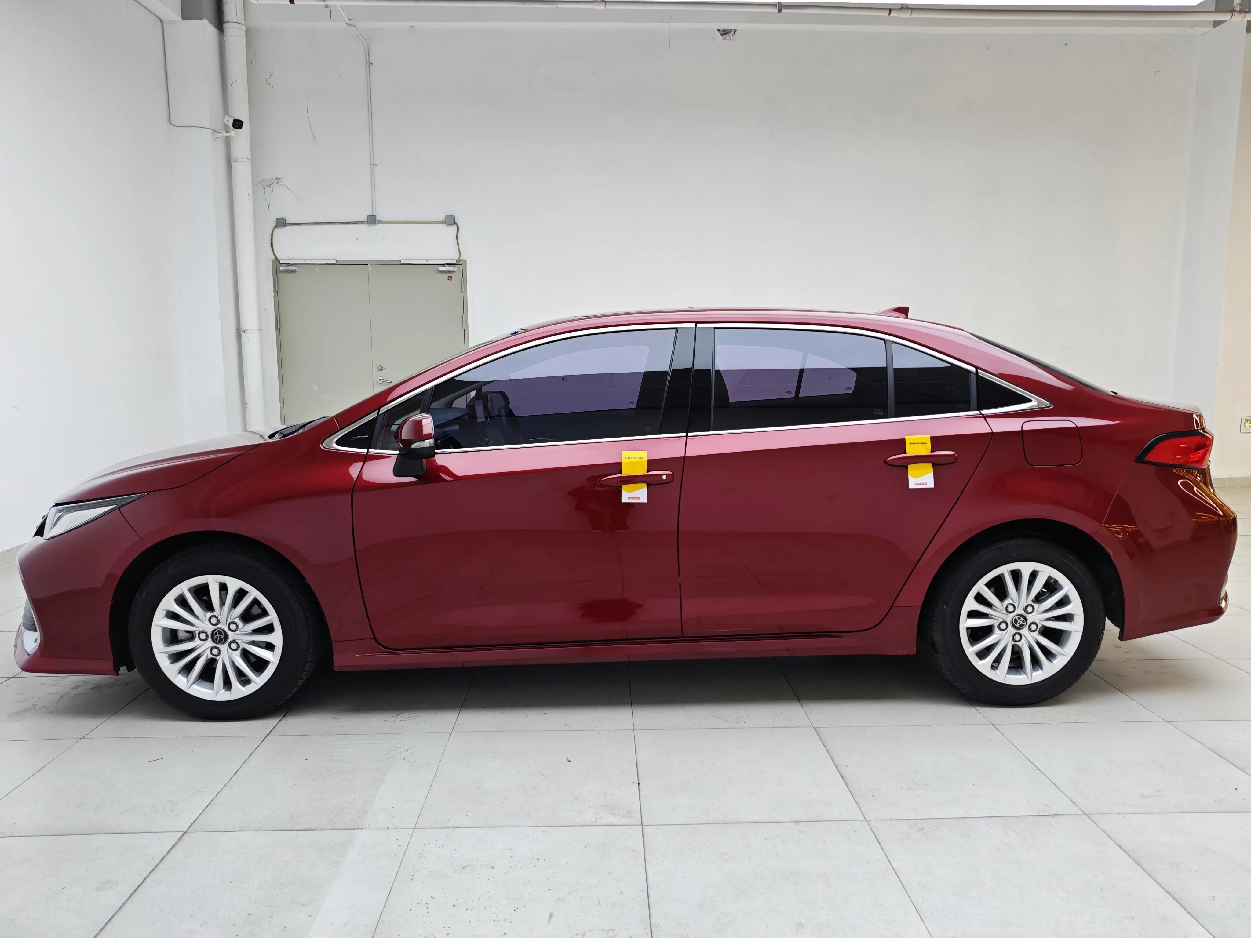 Toyota Asiatic lion