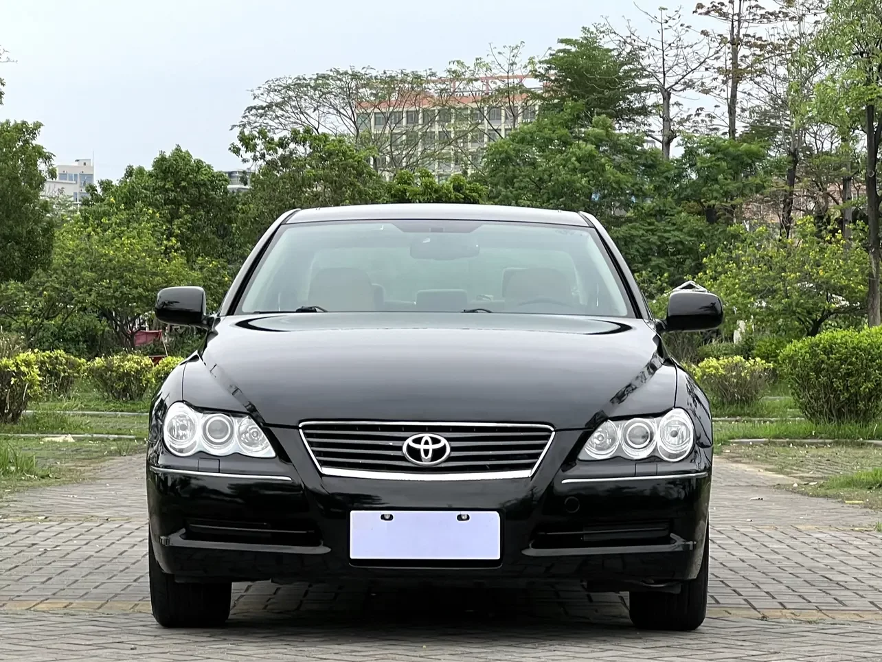 Toyota Ruizhi