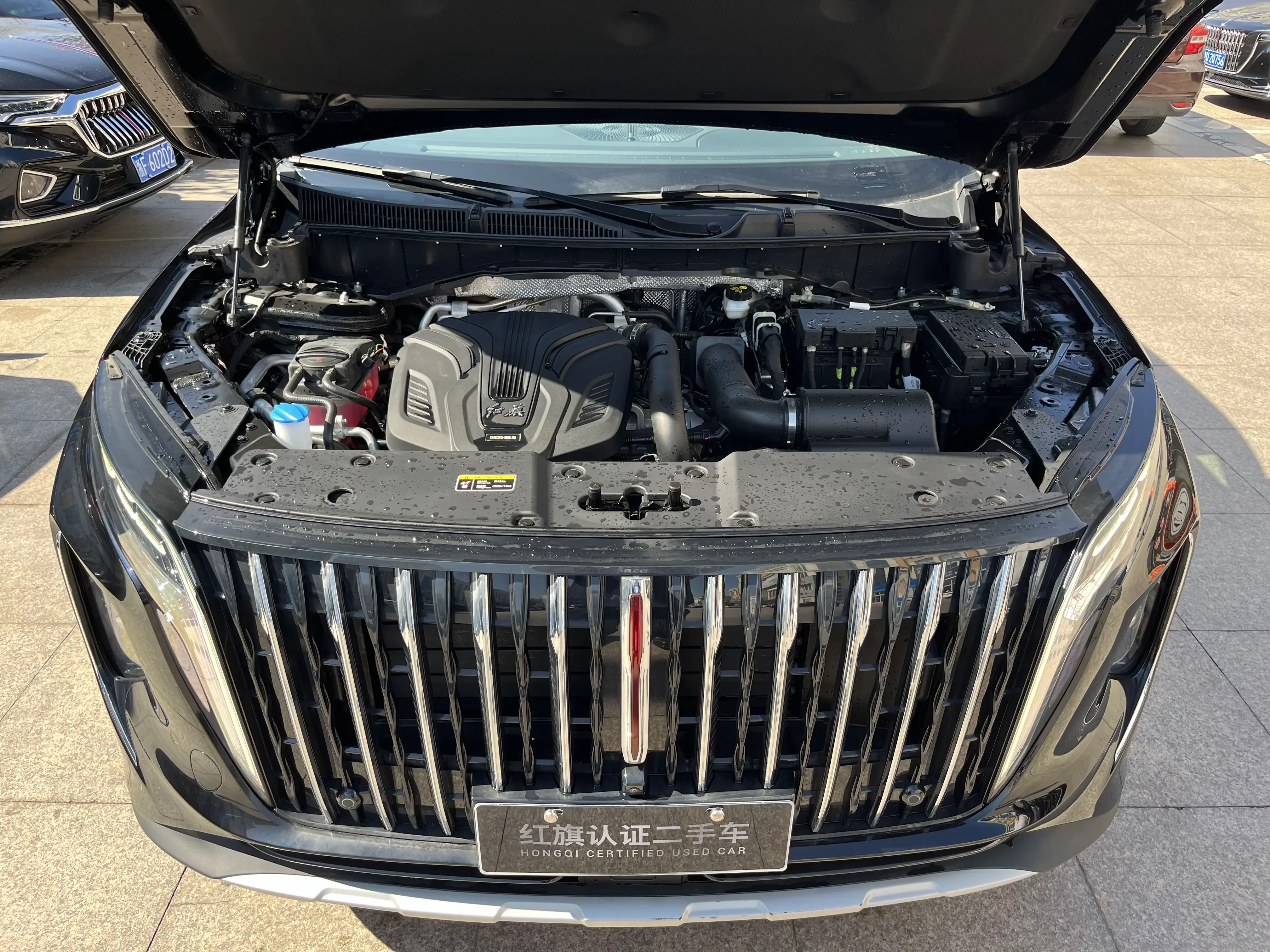 Hongqi HS7