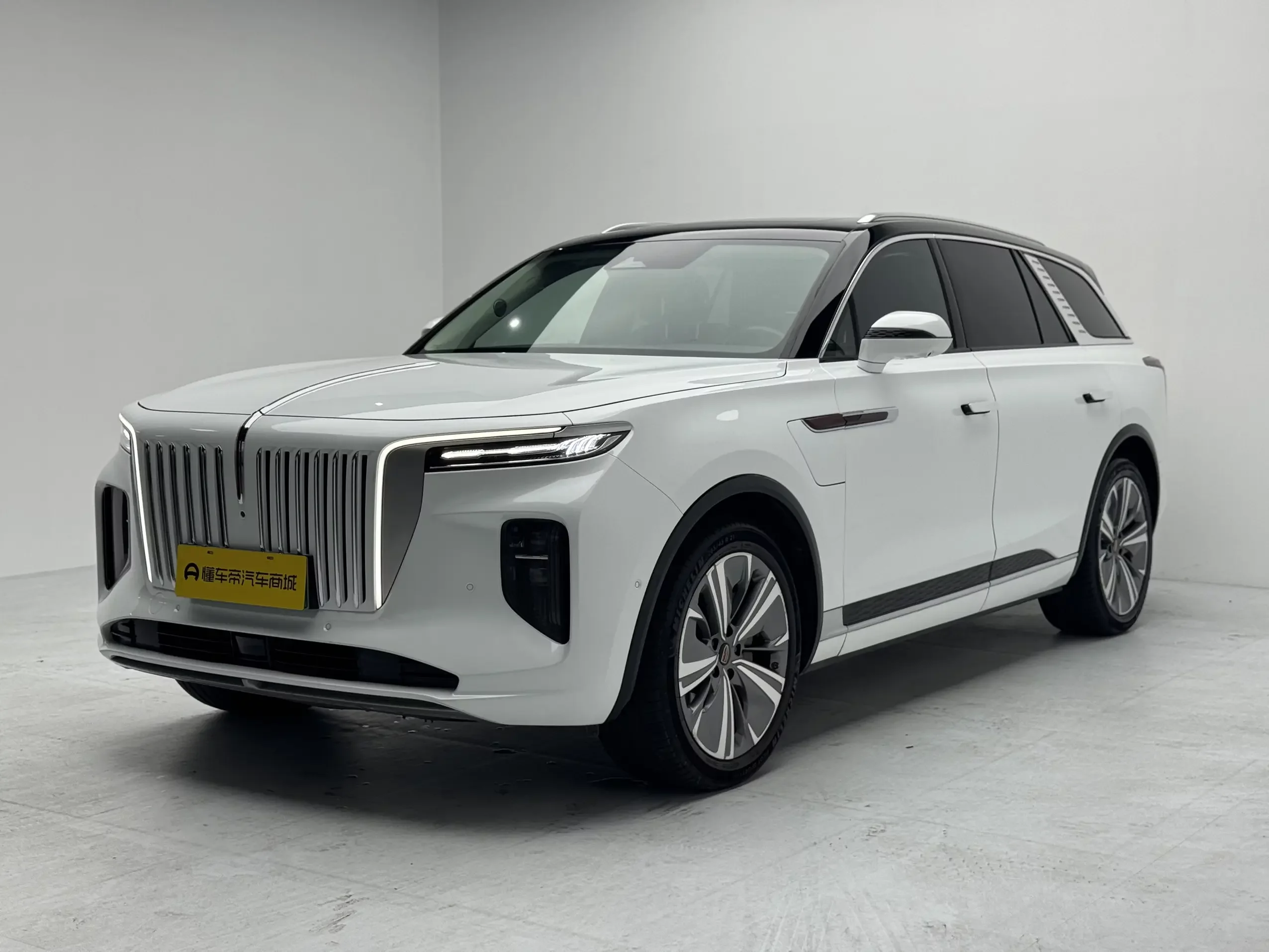 Hongqi E-HS9