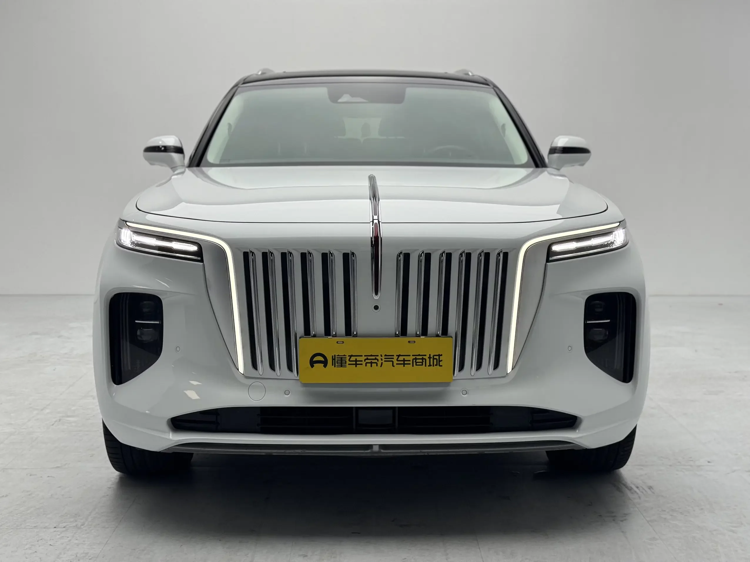 Hongqi E-HS9