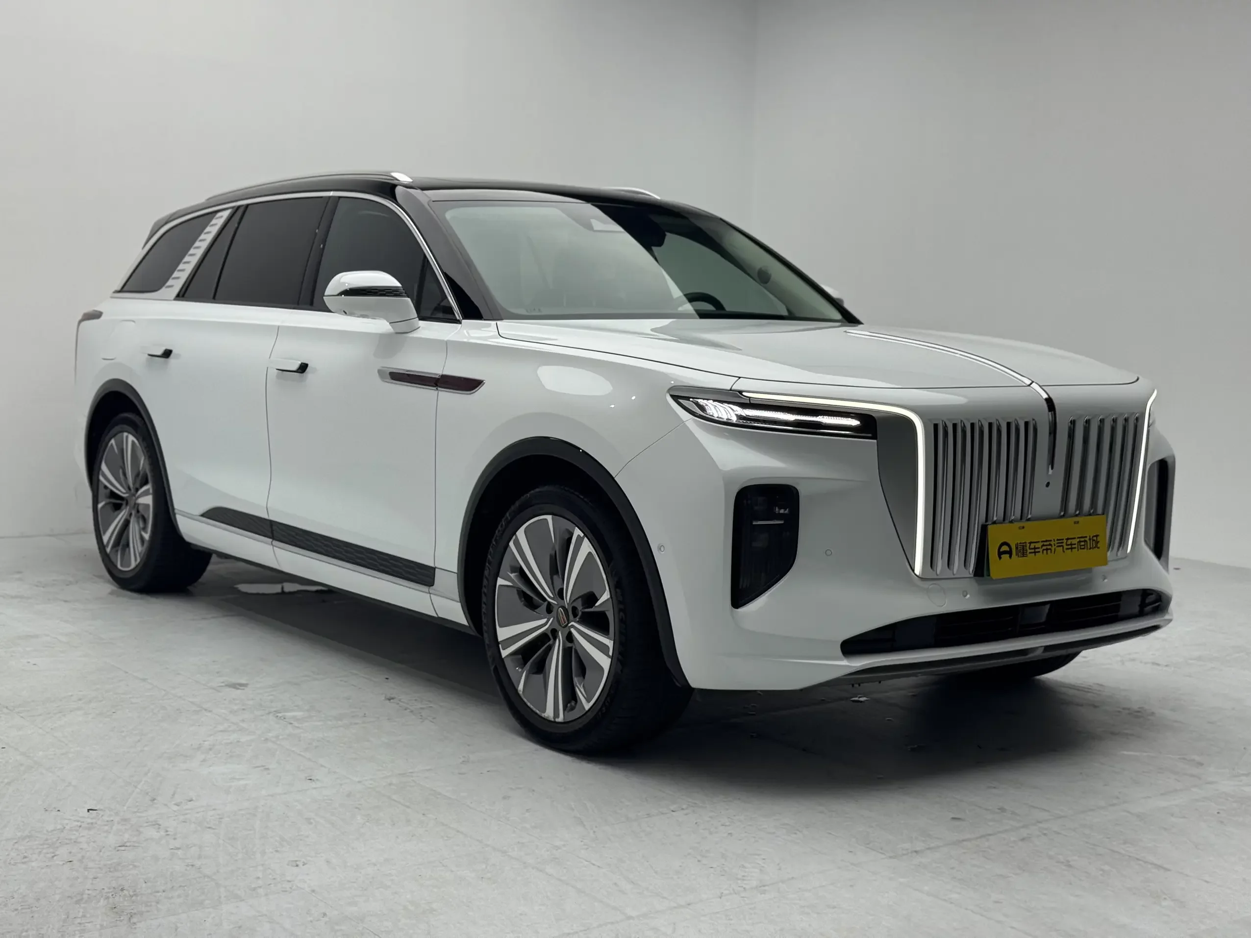 Hongqi E-HS9