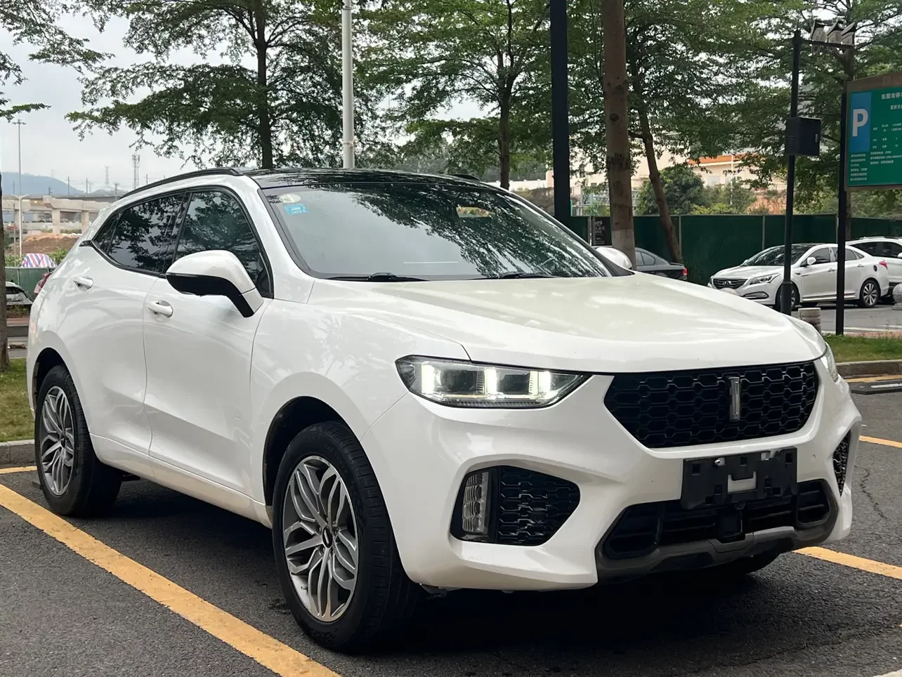 Wey Wei brand VV5