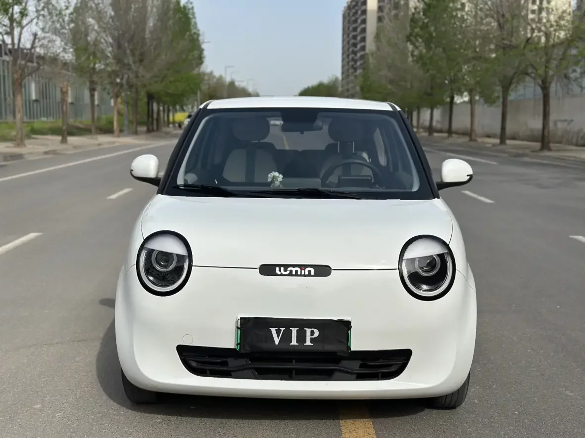 Changan Lumin