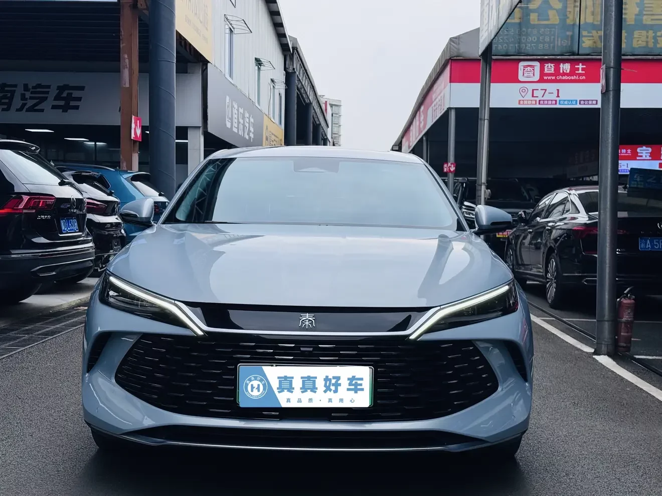 BYD Qin L DM