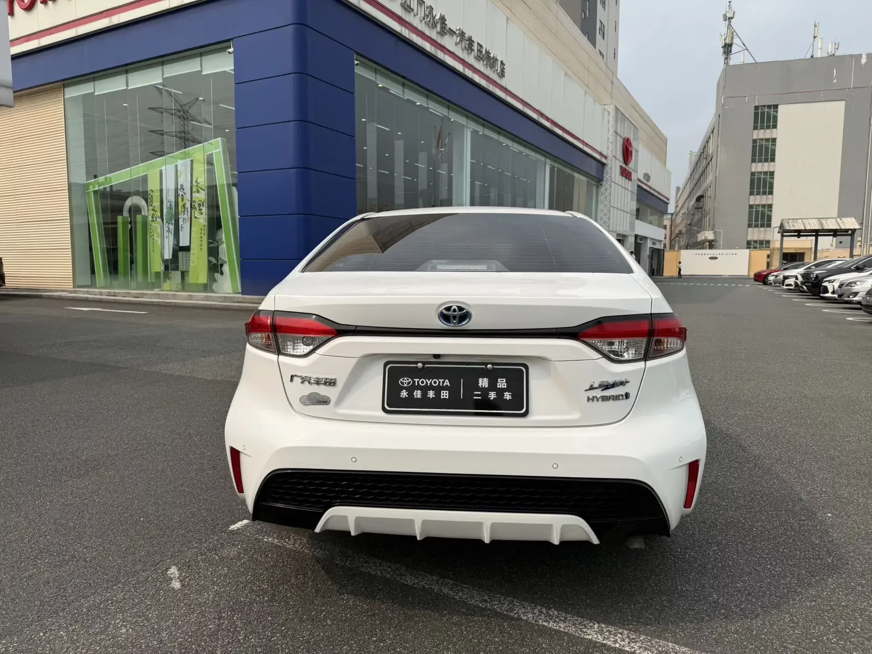 Toyota Levin