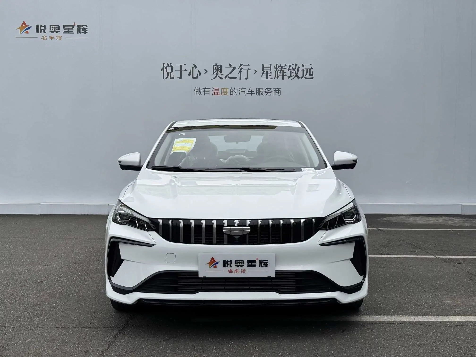 Geely Binrui