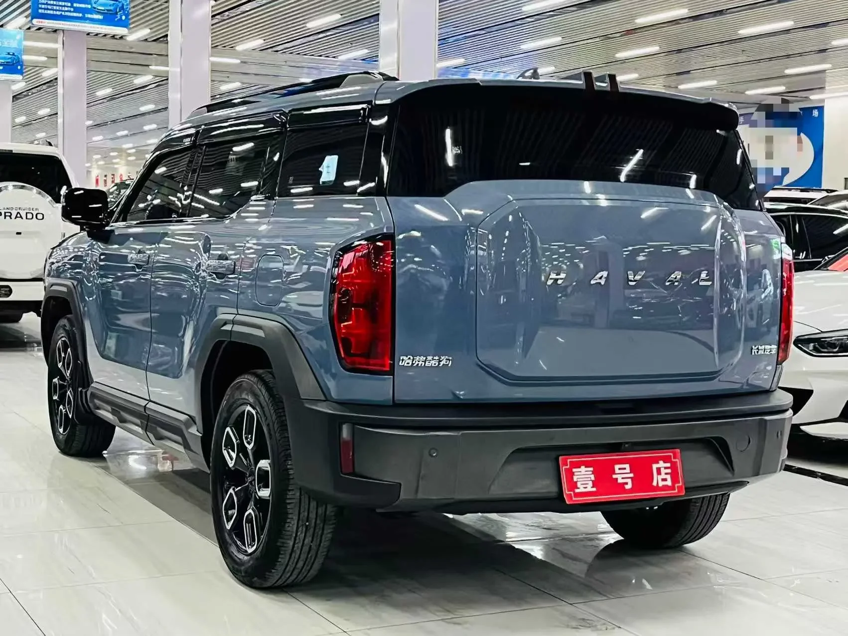 Haval cool dog