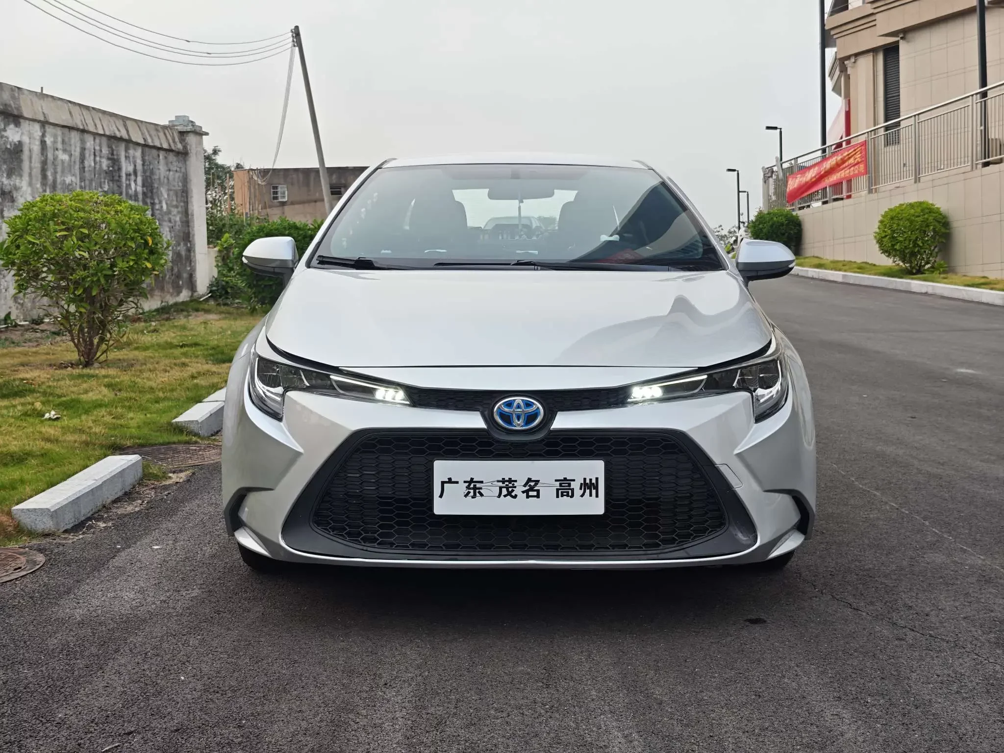 Toyota Levin