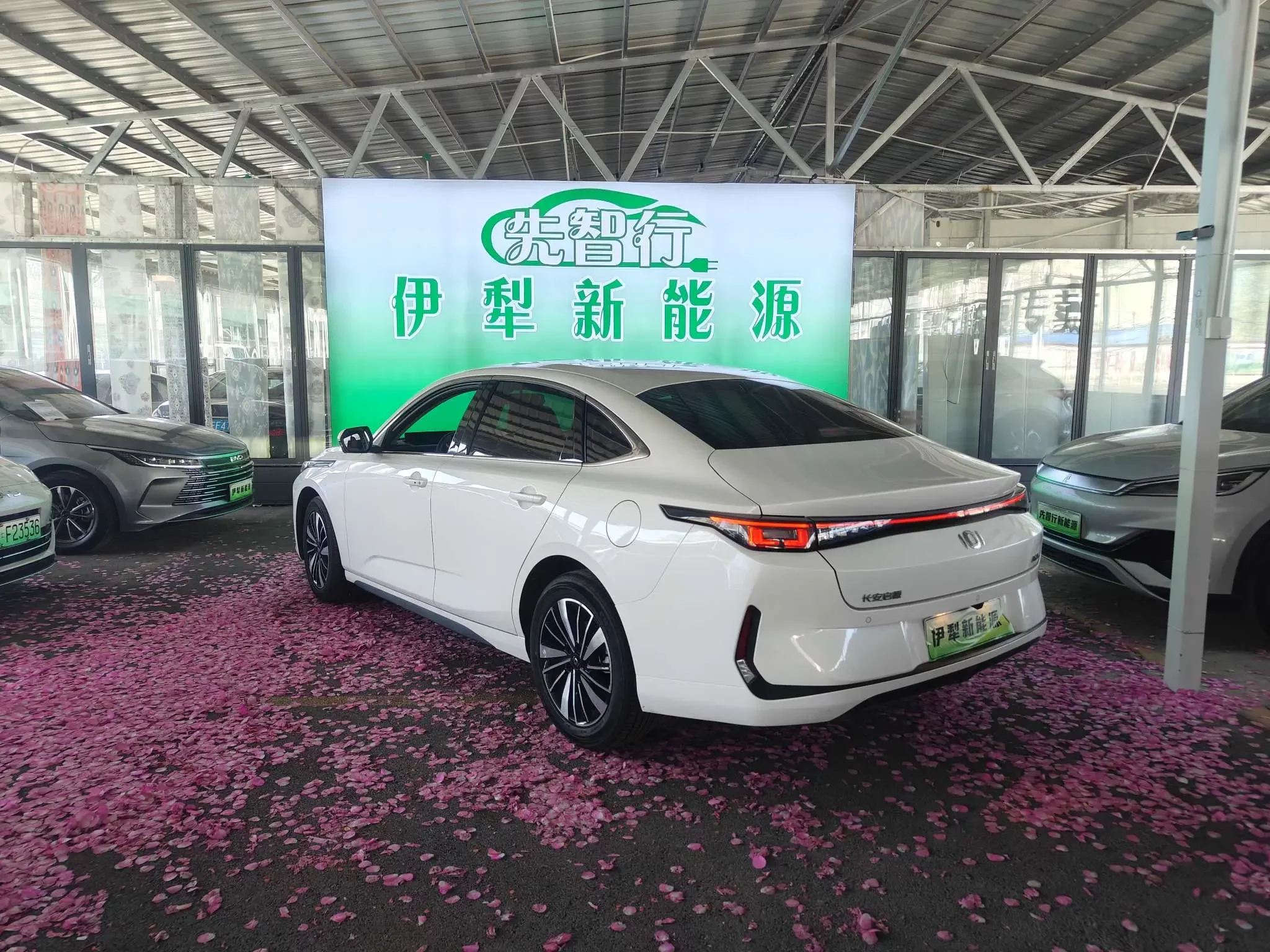 Changan Qiyuan A05