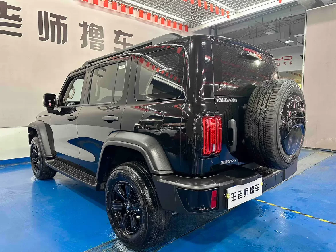 Tank 300