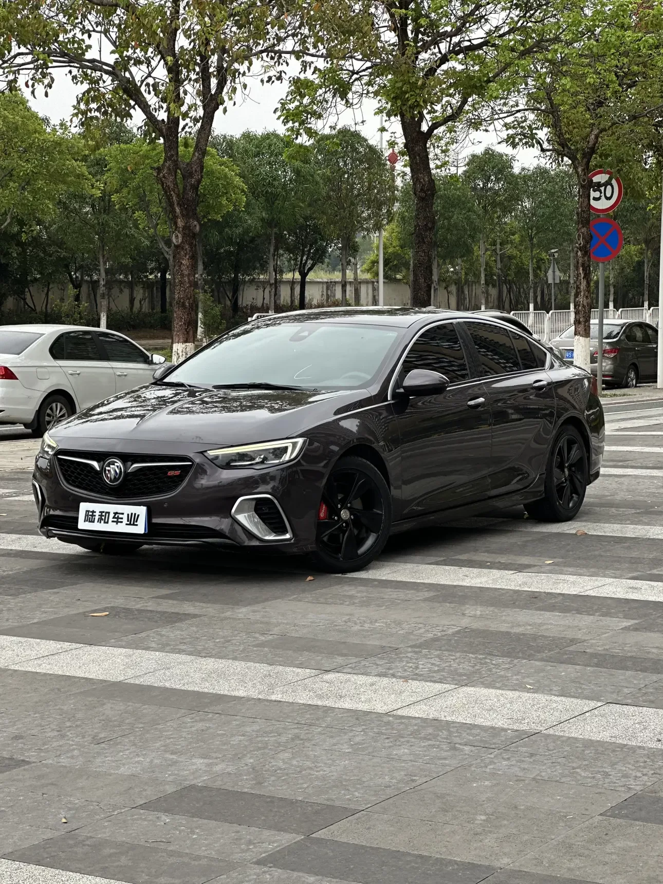 Buick Majesty