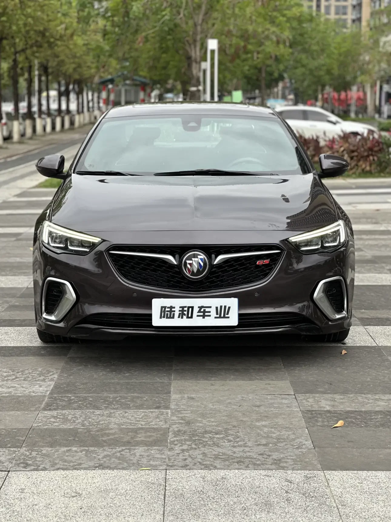 Buick Majesty