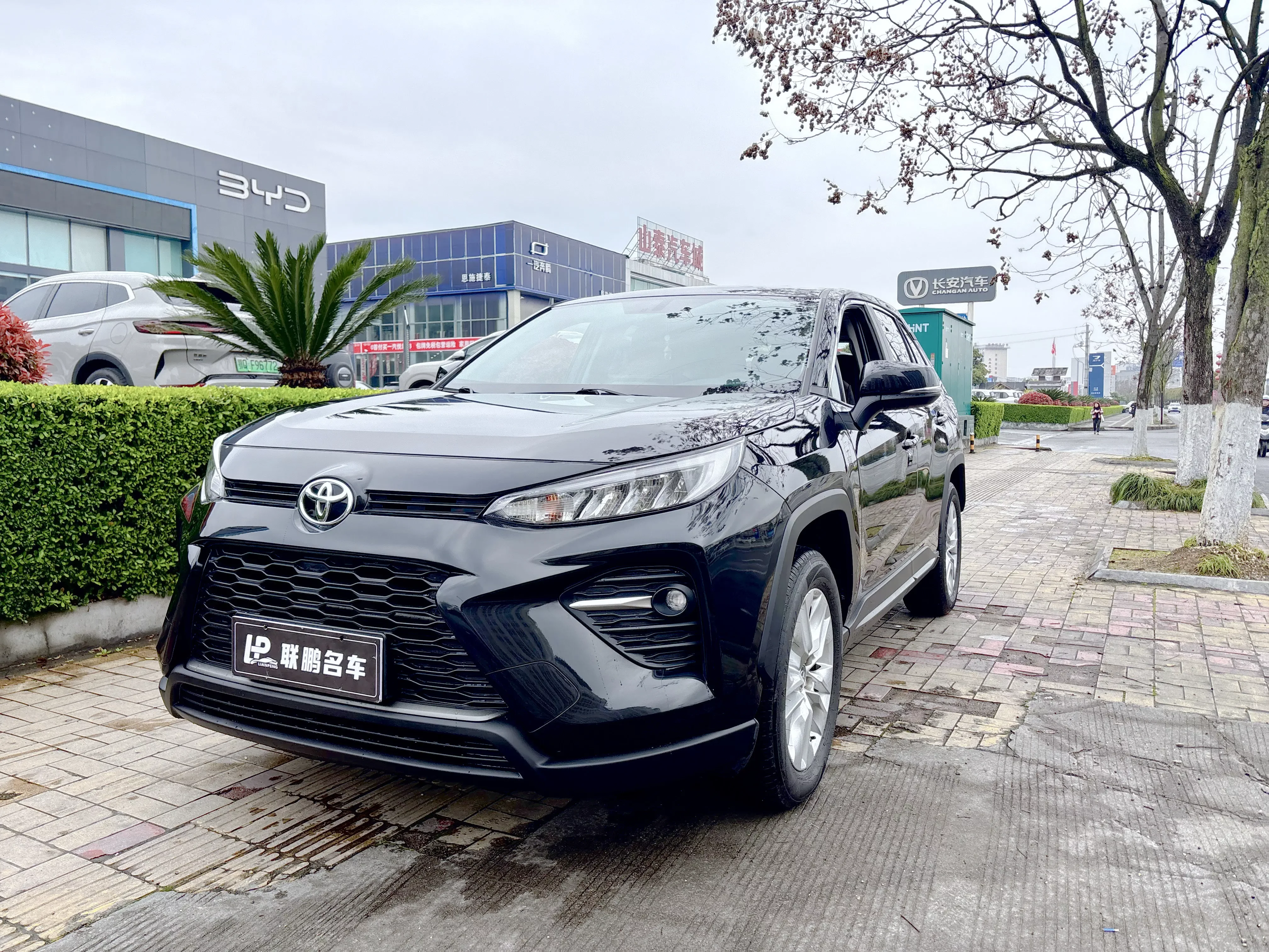 Toyota Willanda