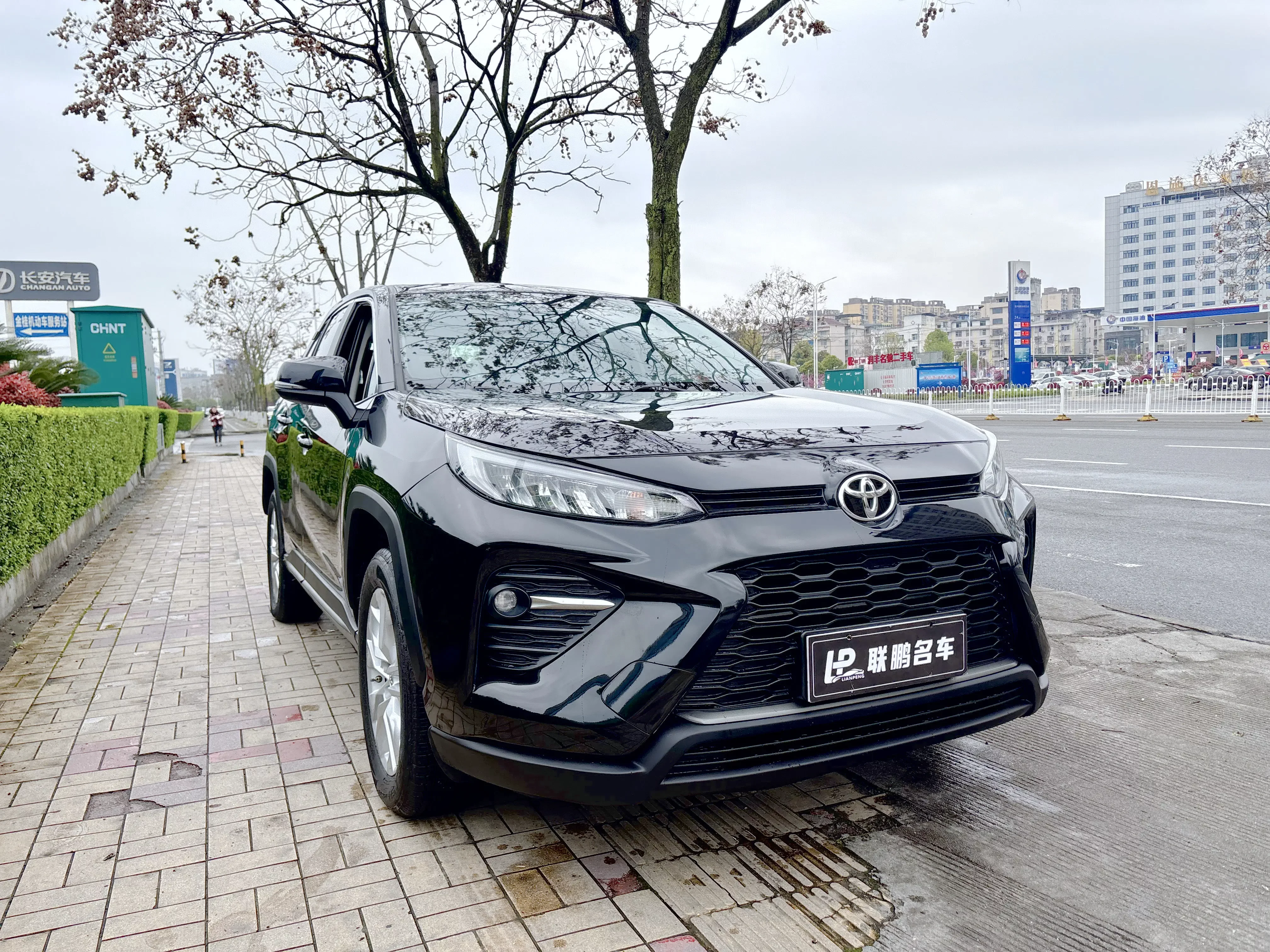 Toyota Willanda