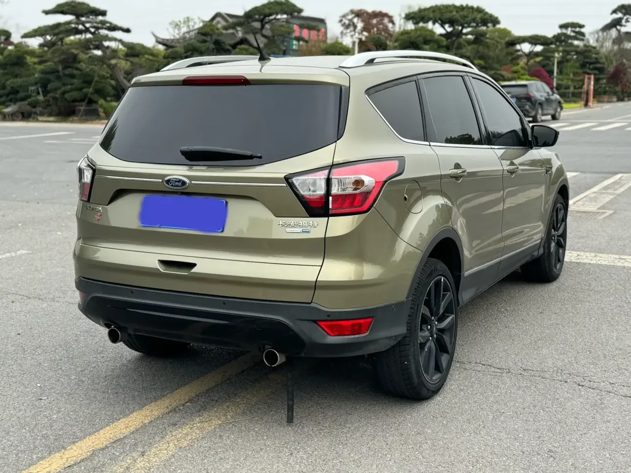 Ford wing tiger