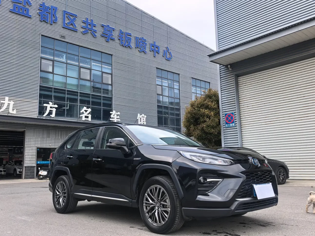 Toyota Willanda