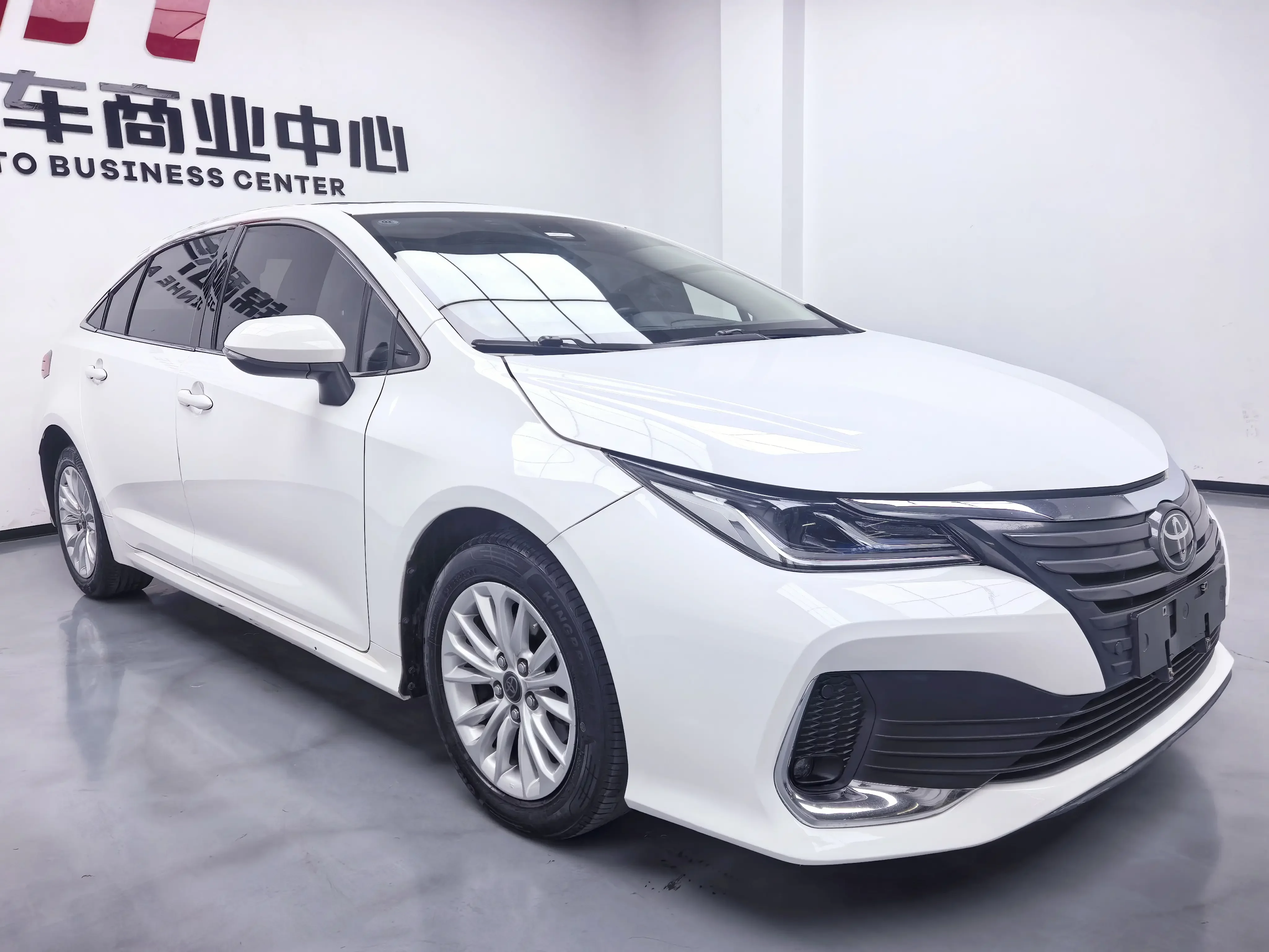 Toyota Asiatic lion