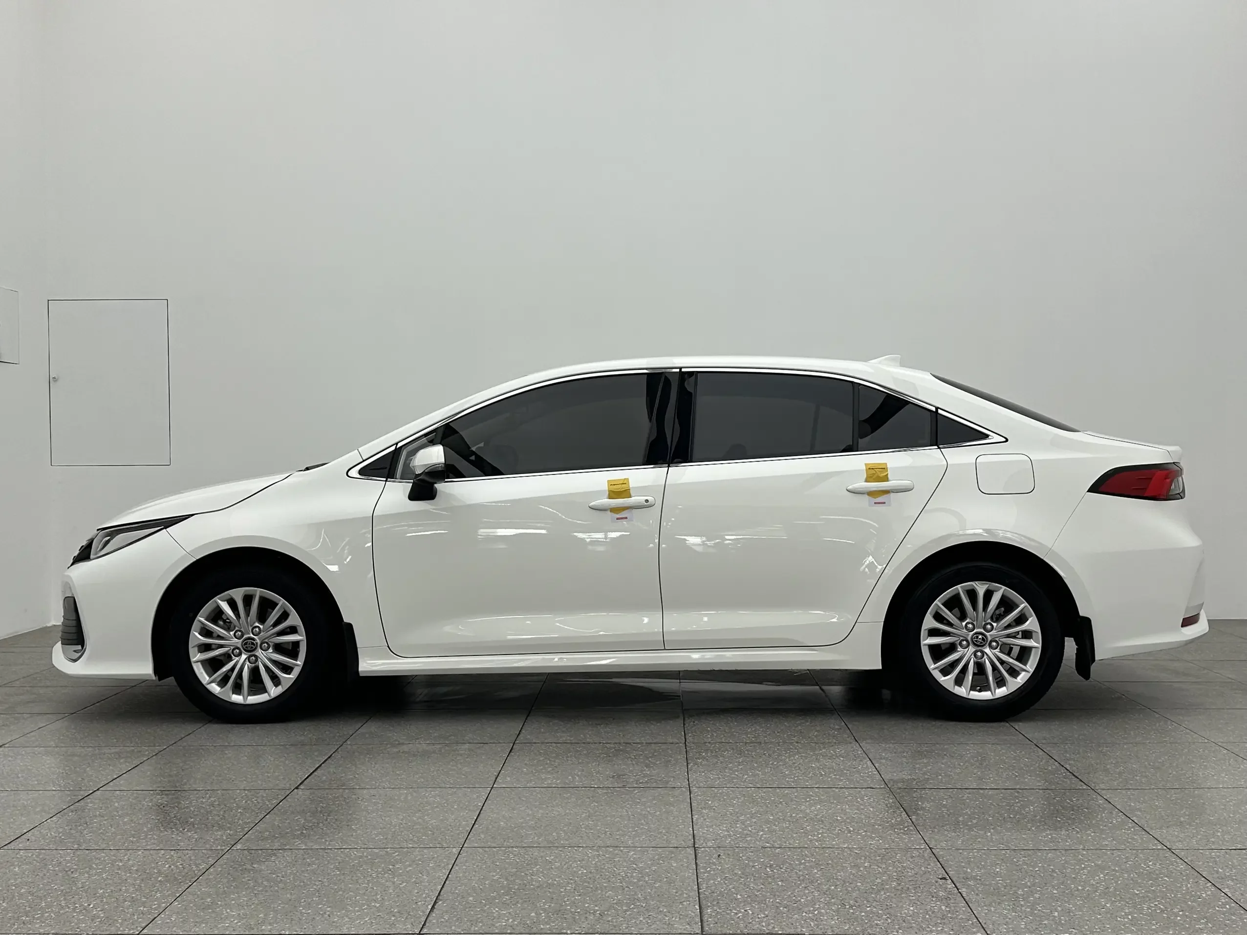Toyota Asiatic lion