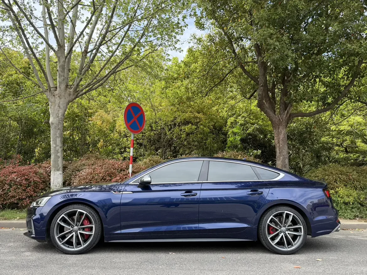Audi S5