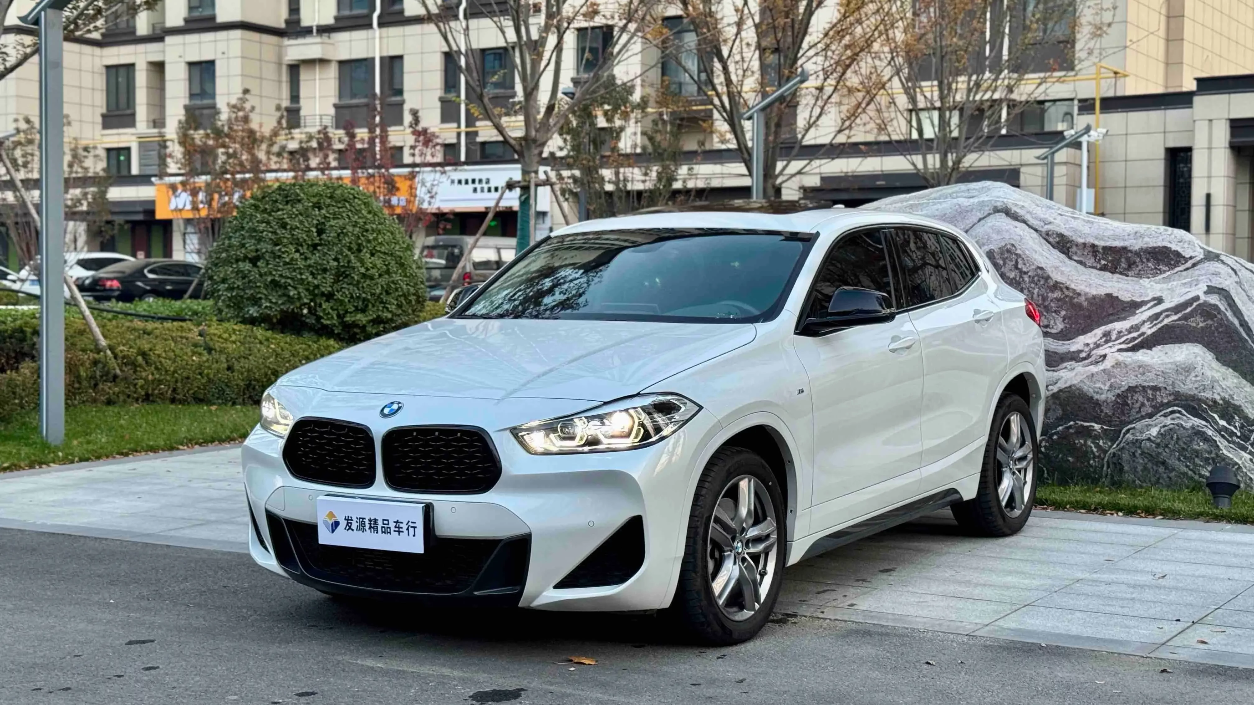 BMW X2