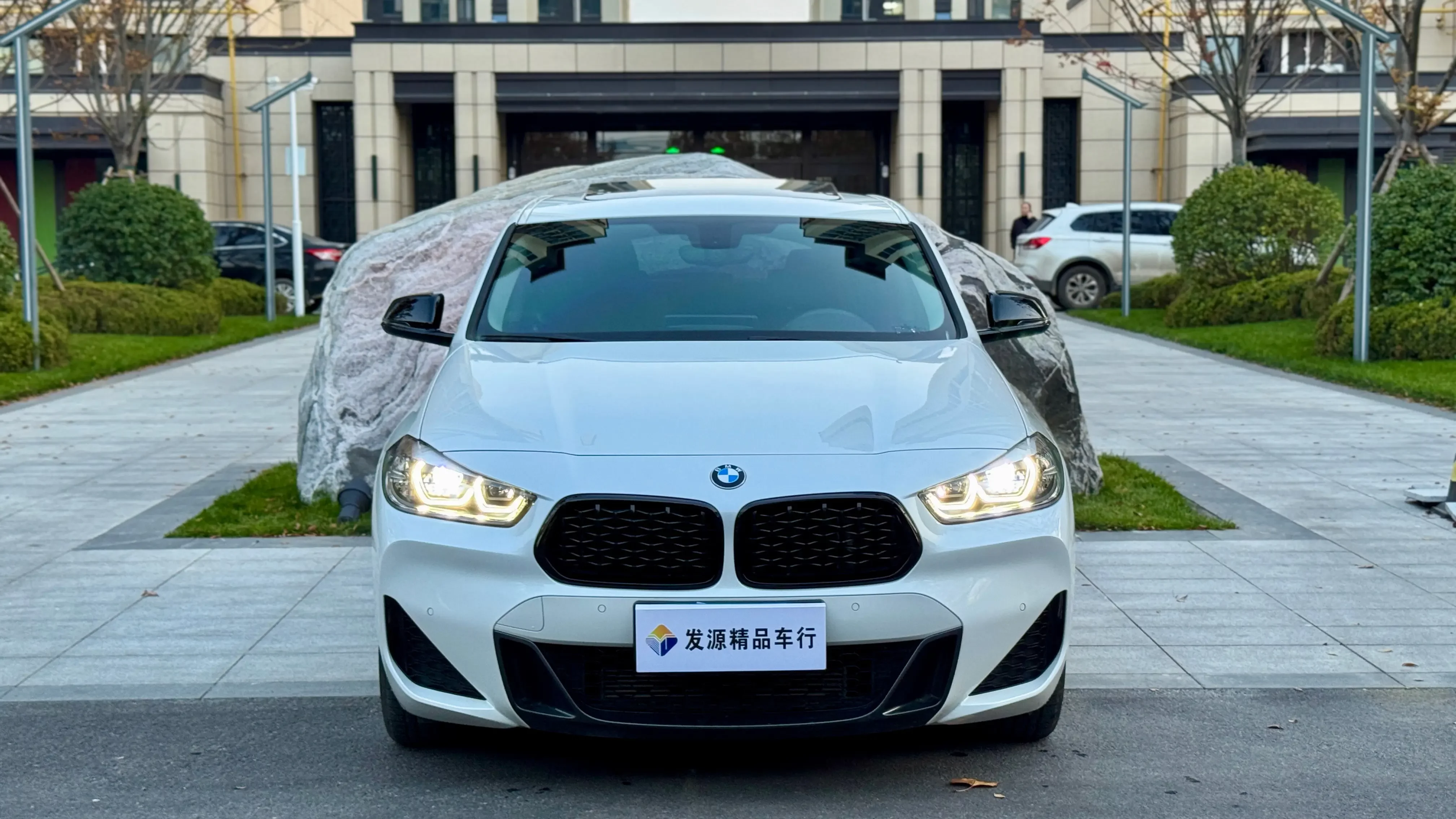 BMW X2