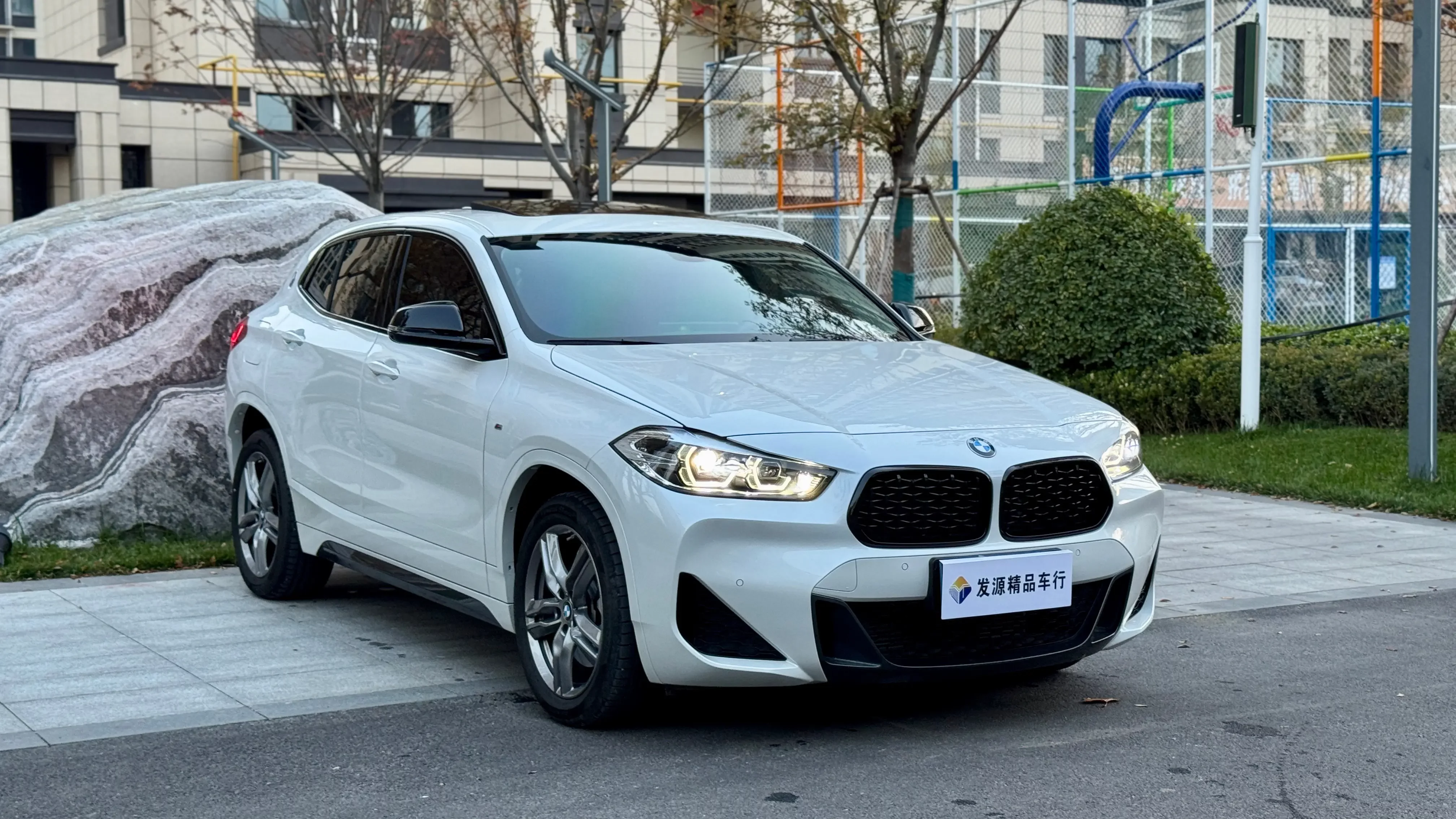 BMW X2