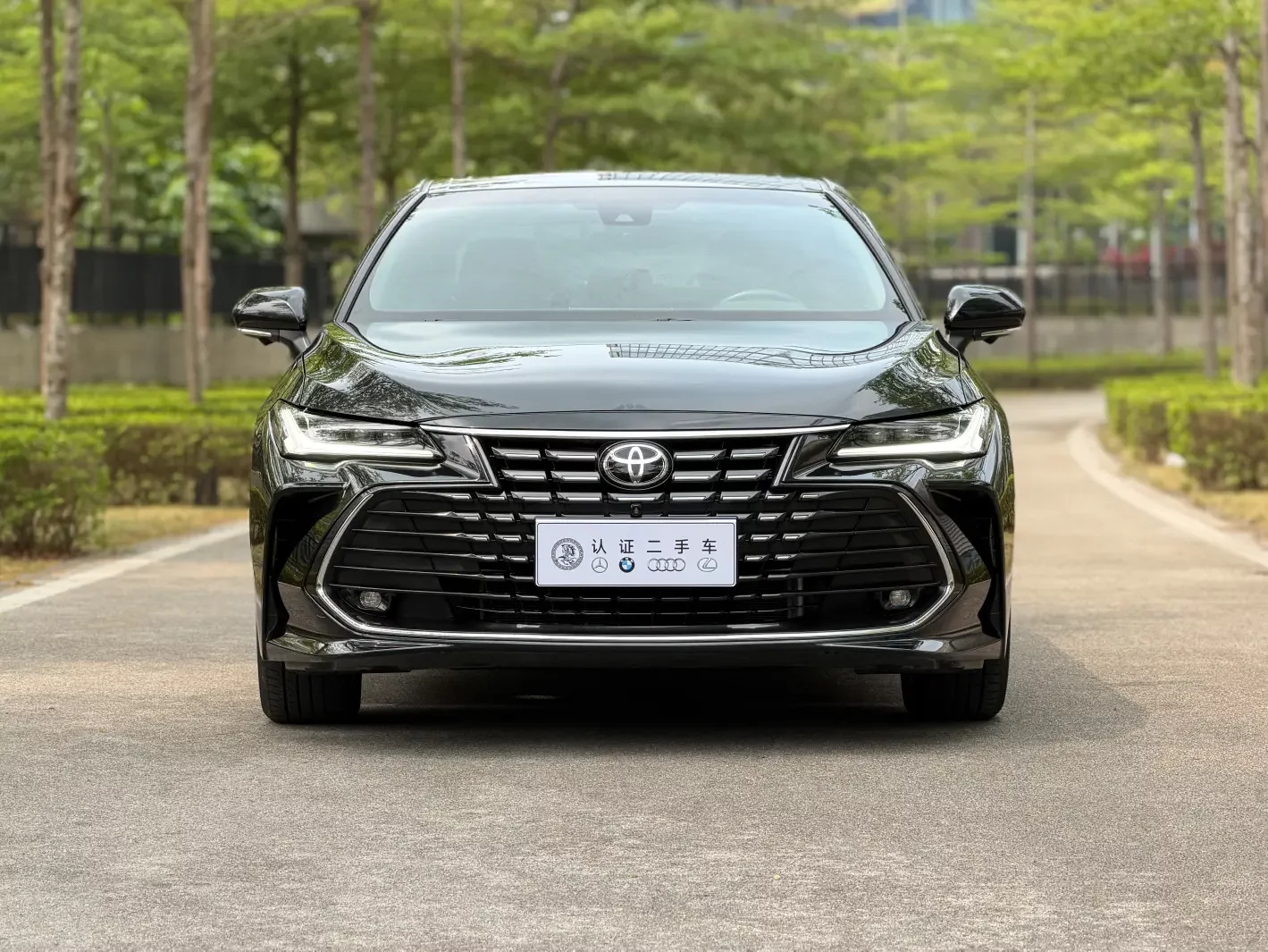 Toyota Avalon