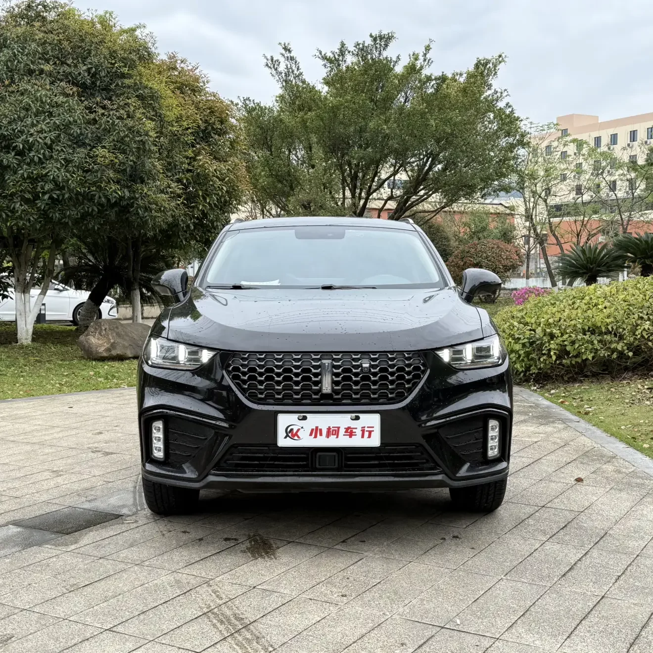 Wey Wei brand VV5