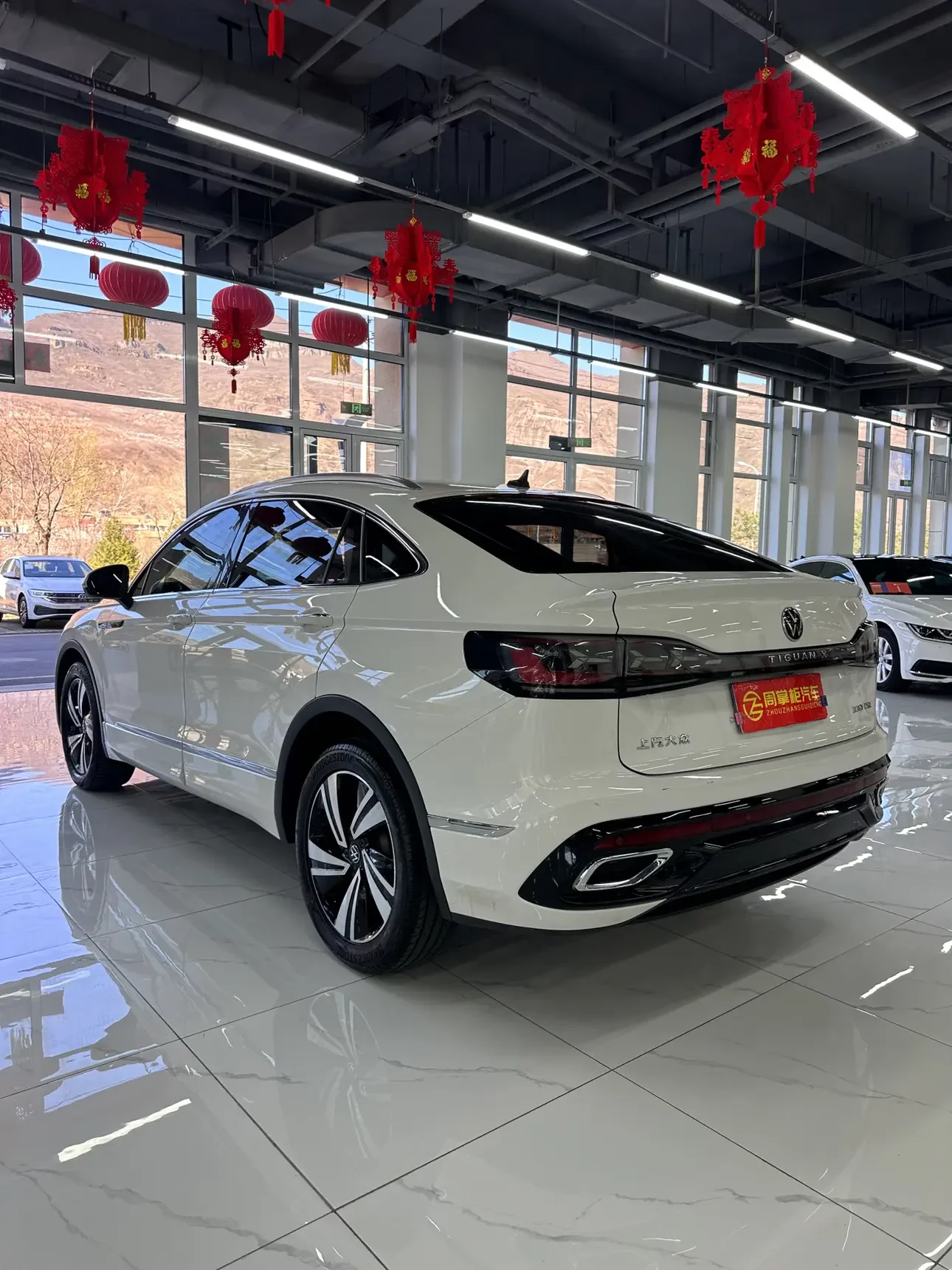 Volkswagen TiguanX