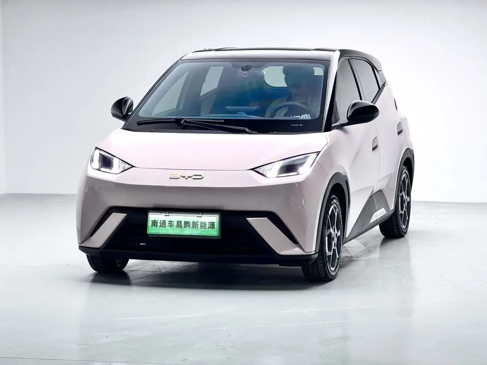 BYD seagull
