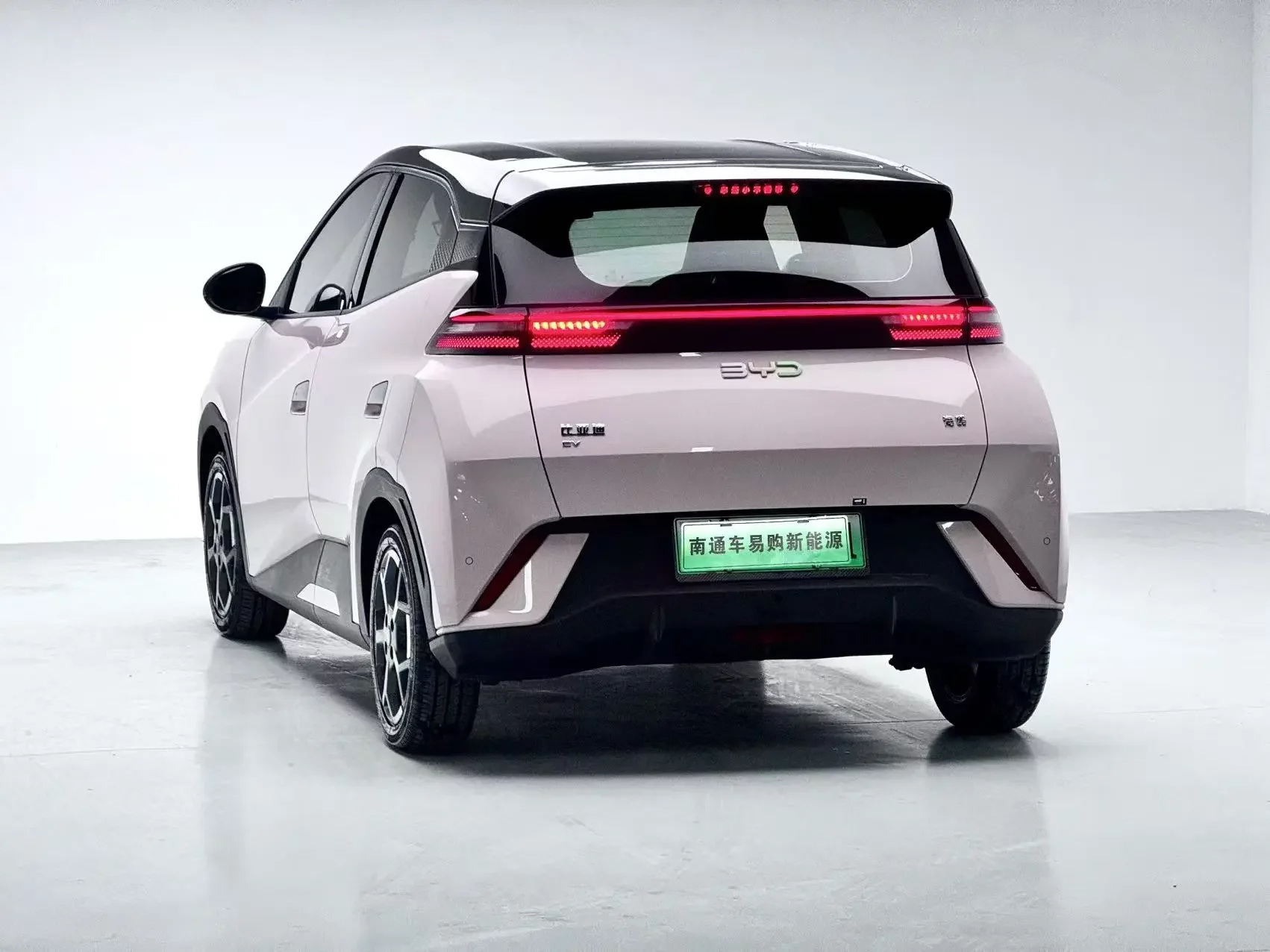 BYD seagull