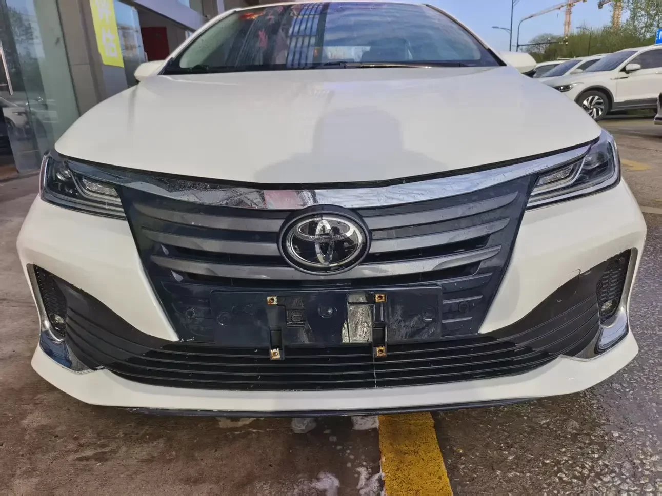 Toyota Asiatic lion