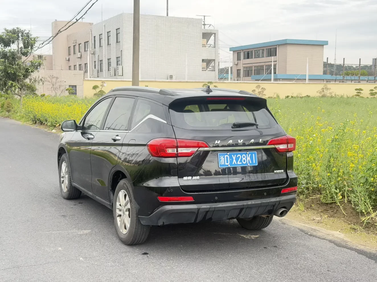 Haval M6