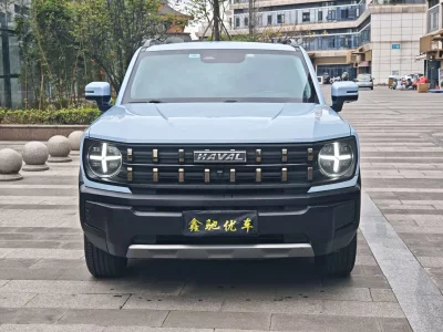 Haval cool dog
