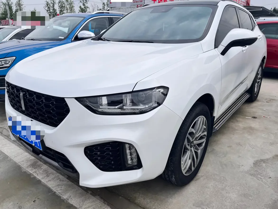 Wey Wei brand VV5
