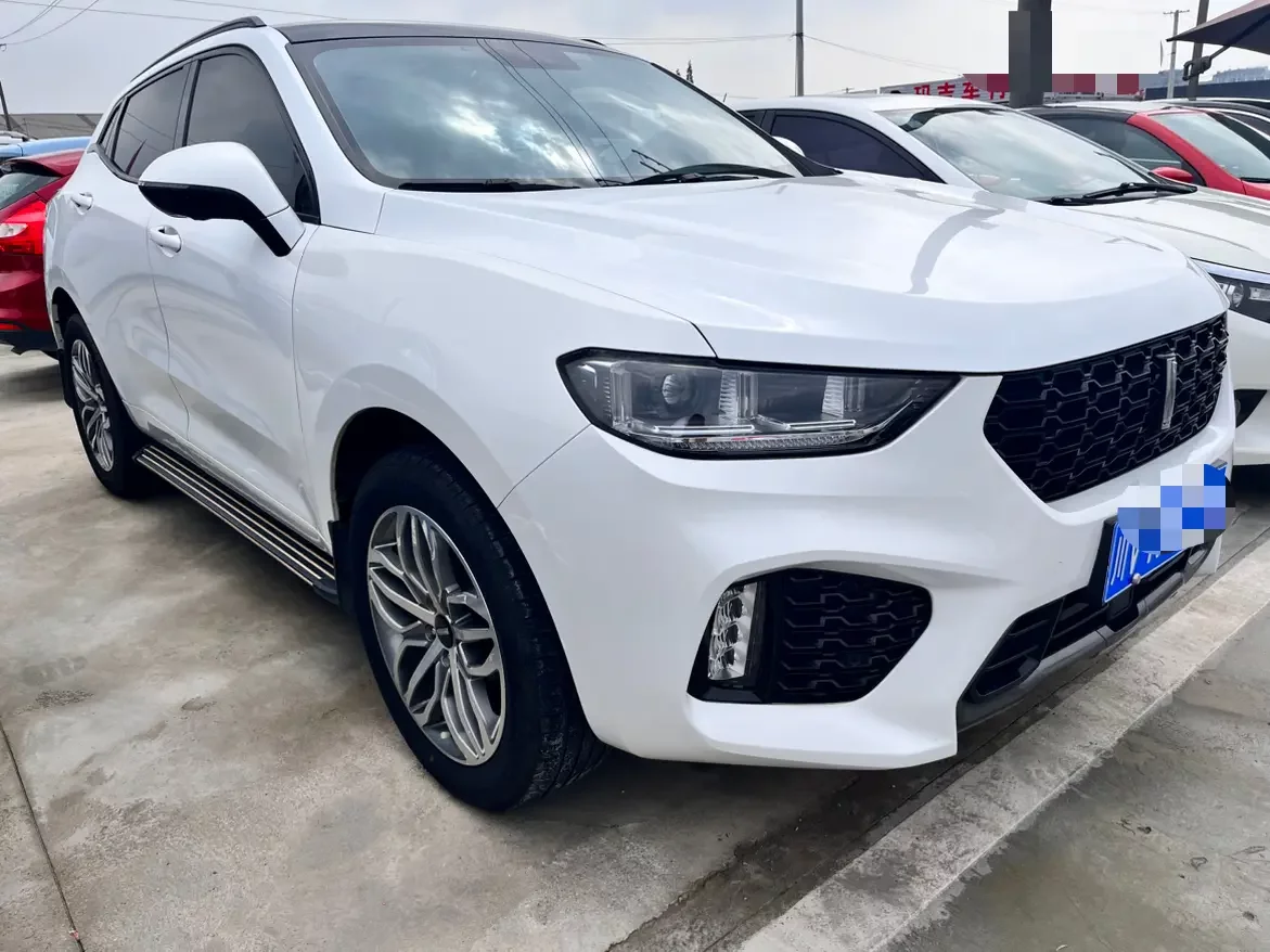 Wey Wei brand VV5
