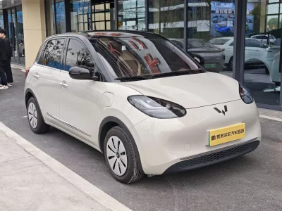 Wuling Bingo