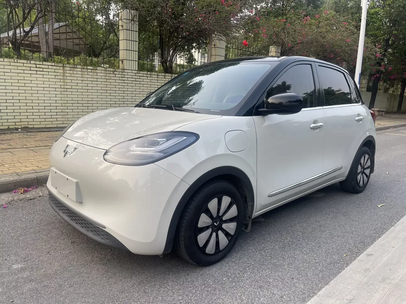 Wuling Bingo