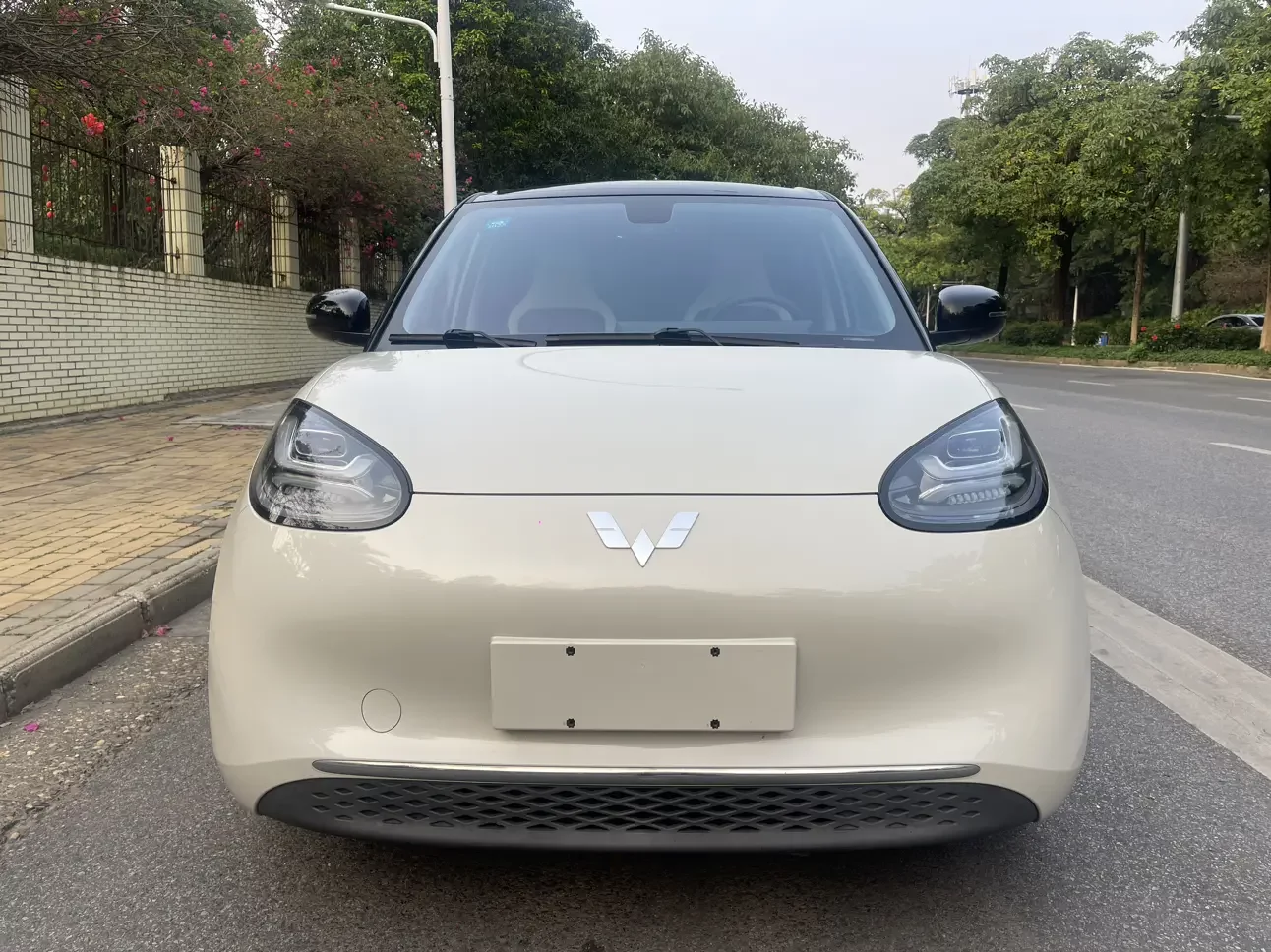 Wuling Bingo