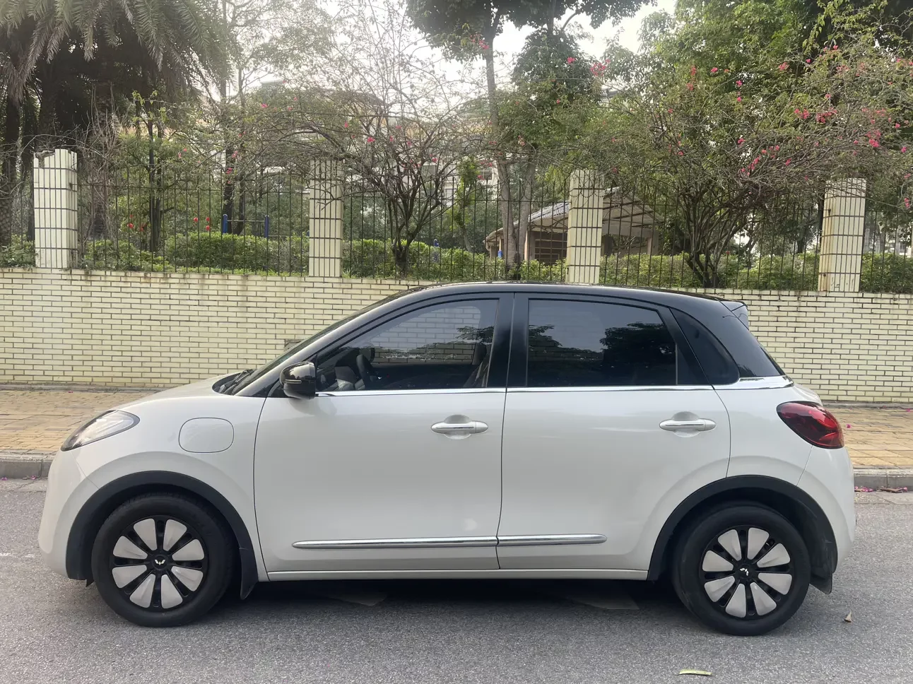 Wuling Bingo