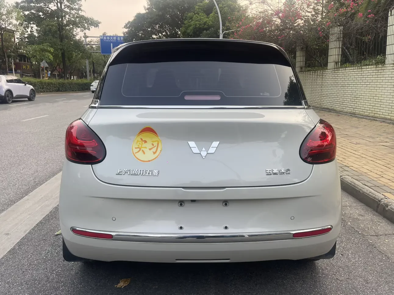 Wuling Bingo