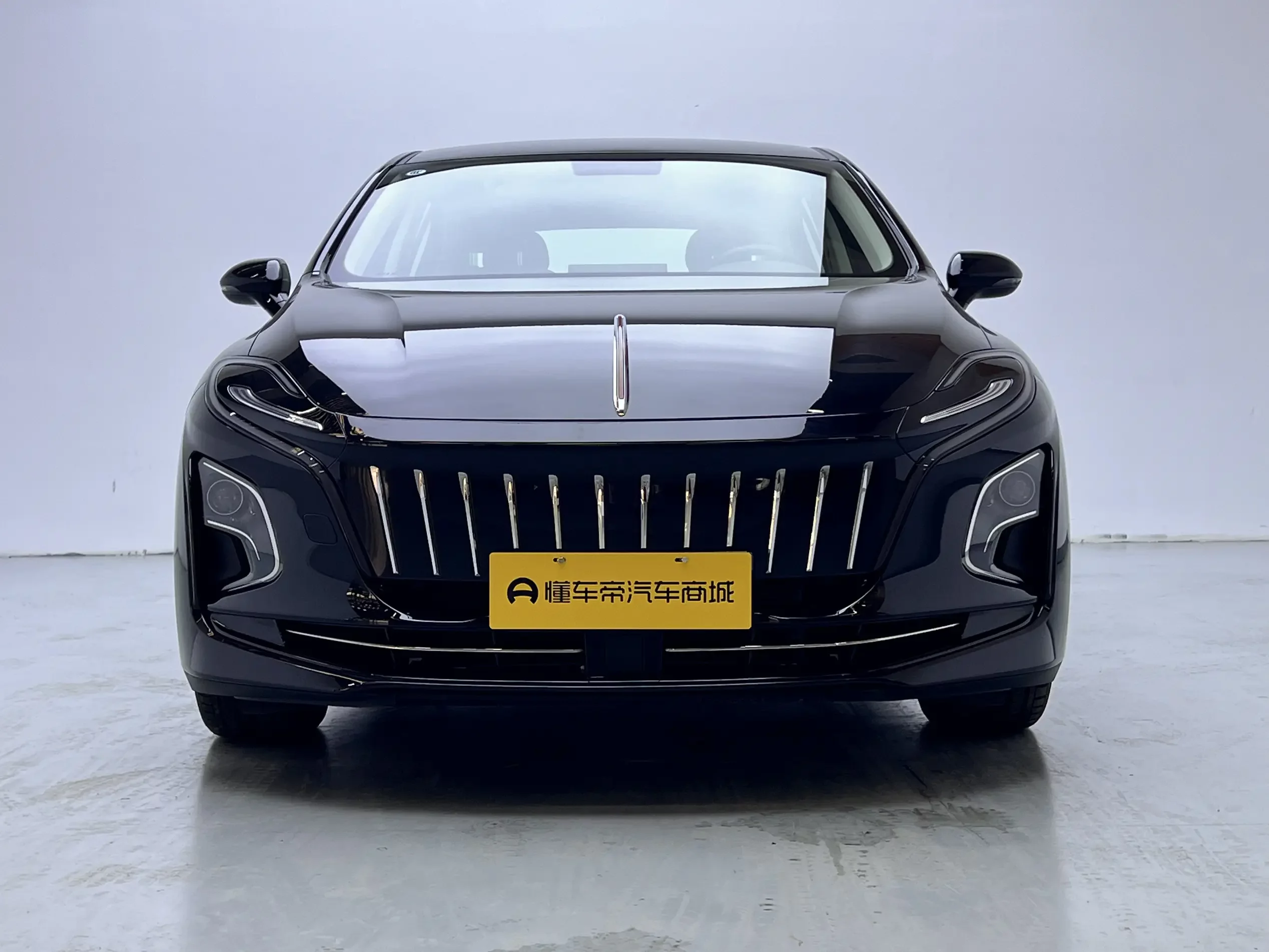 Hongqi E-QM5