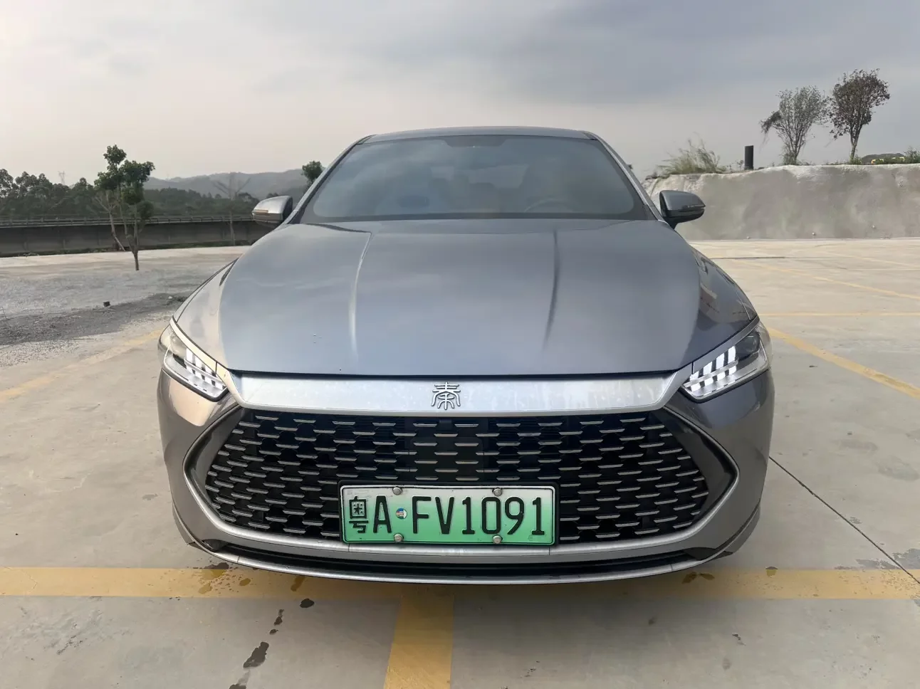 BYD Qin PLUS DM