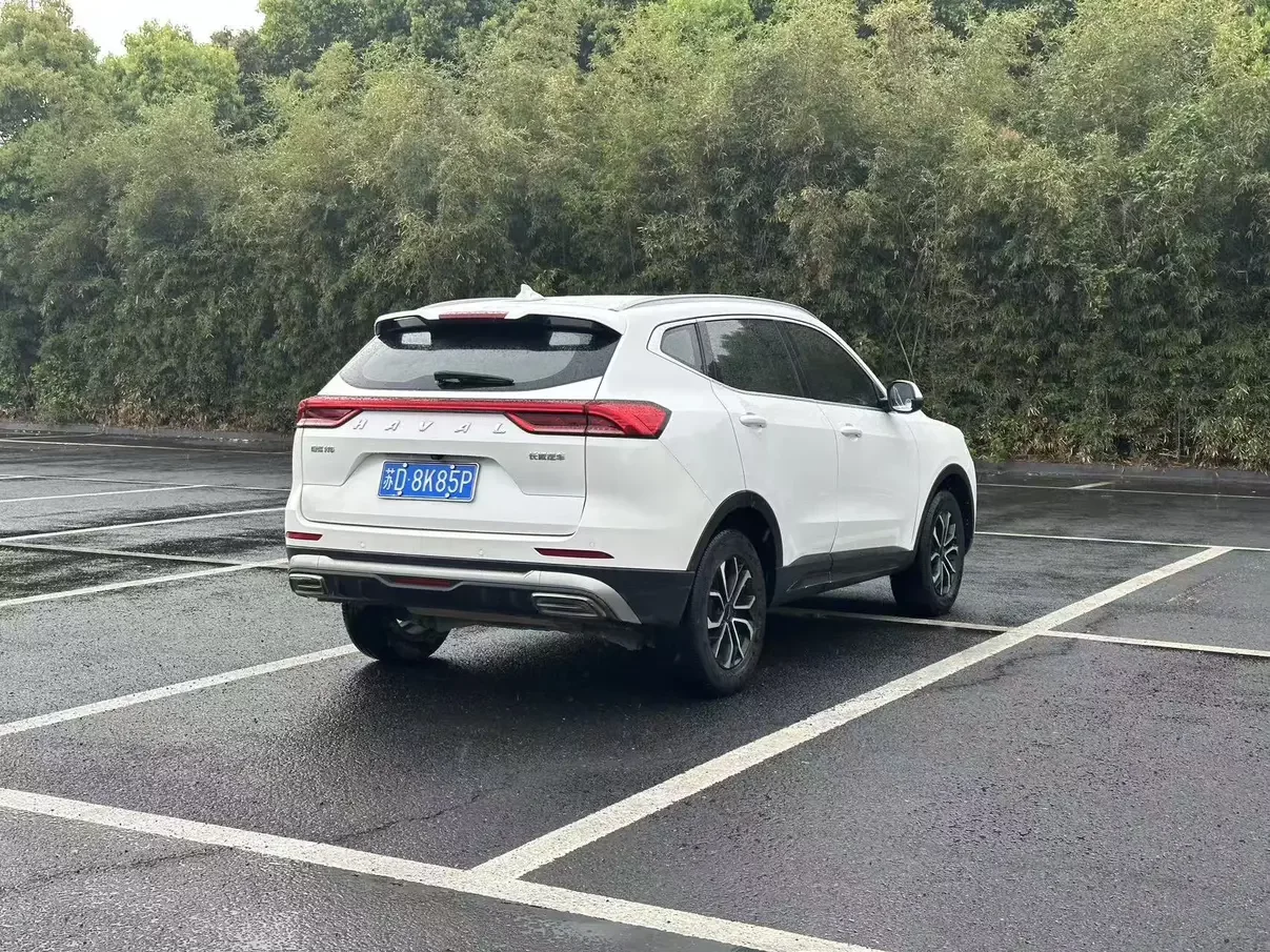 Haval H6